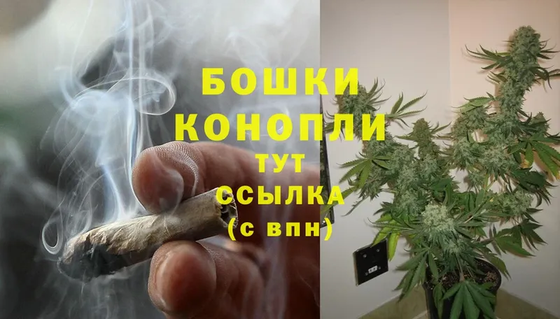 Шишки марихуана OG Kush  ОМГ ОМГ tor  Братск  где купить  